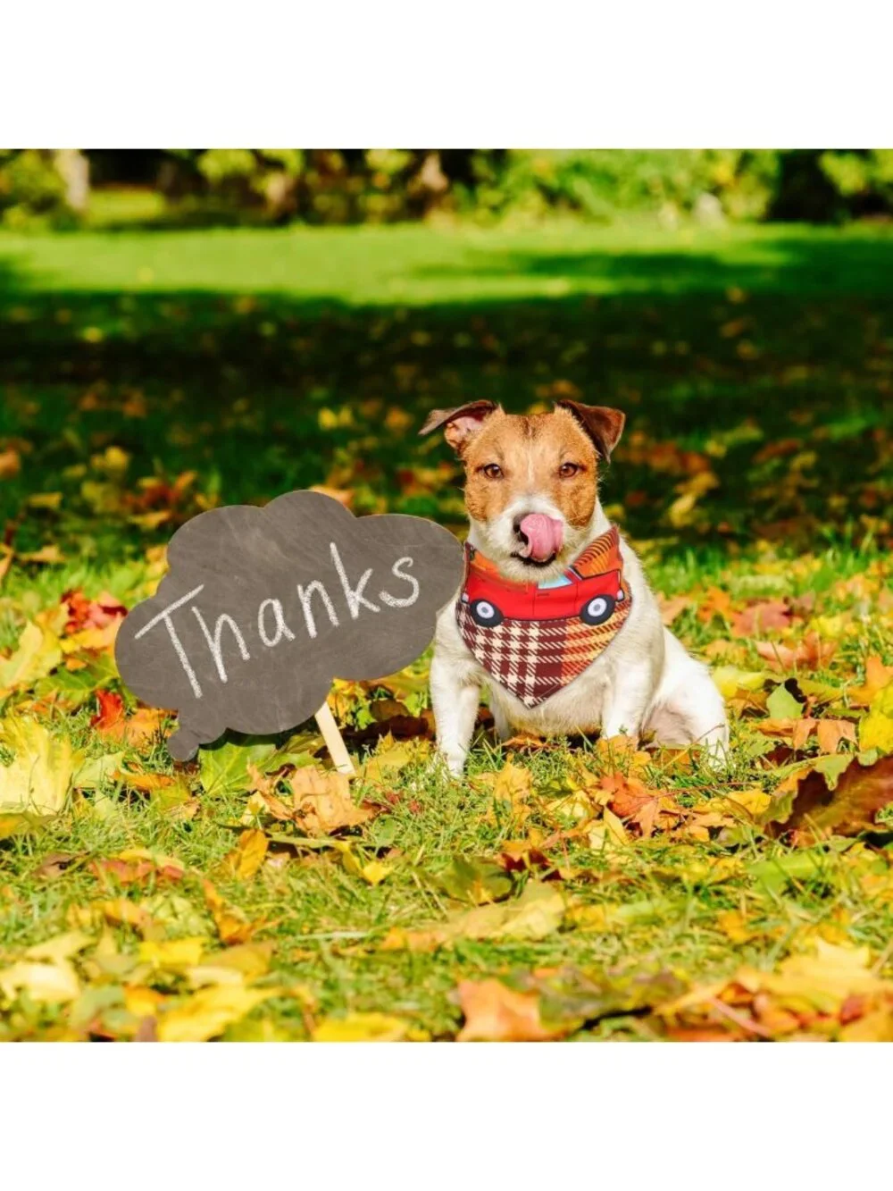 200 Pcs Fall Dog Bandanas - Thanksgiving Bibs for Small & Medium Pets